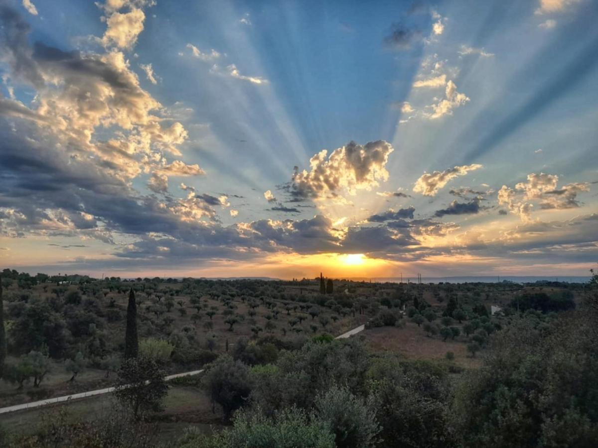 Al Recanto Do Sol Торреш-Новаш Екстер'єр фото